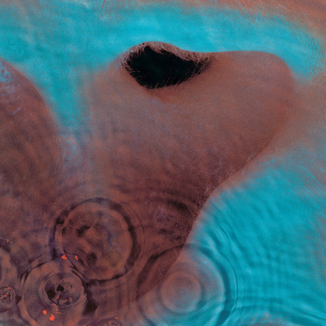Meddle – Pink Floyd