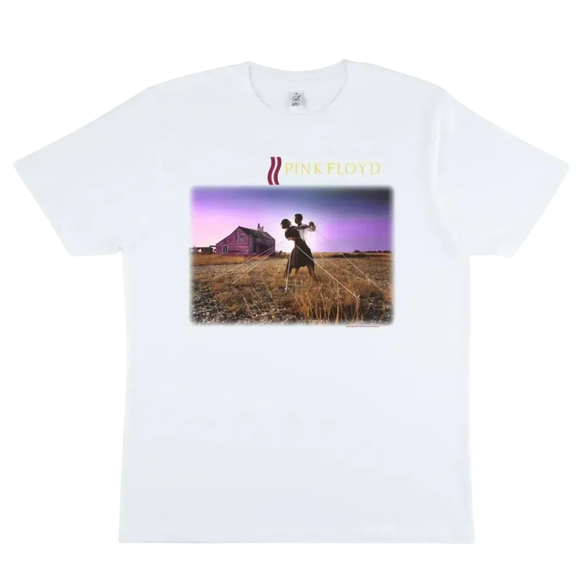 A Collection of Great Dance Songs T-Shirt