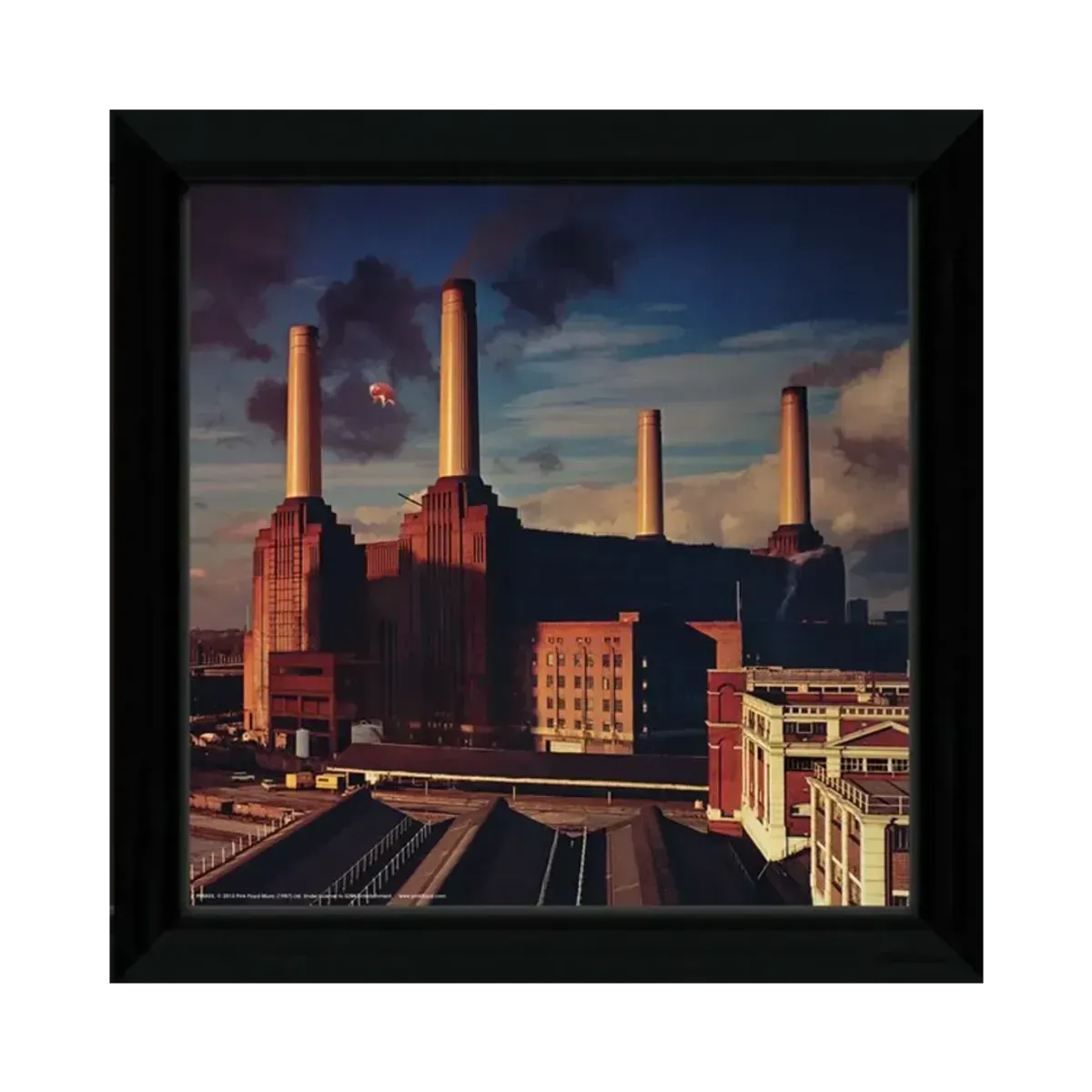 Animals 12" x 12" Framed Print