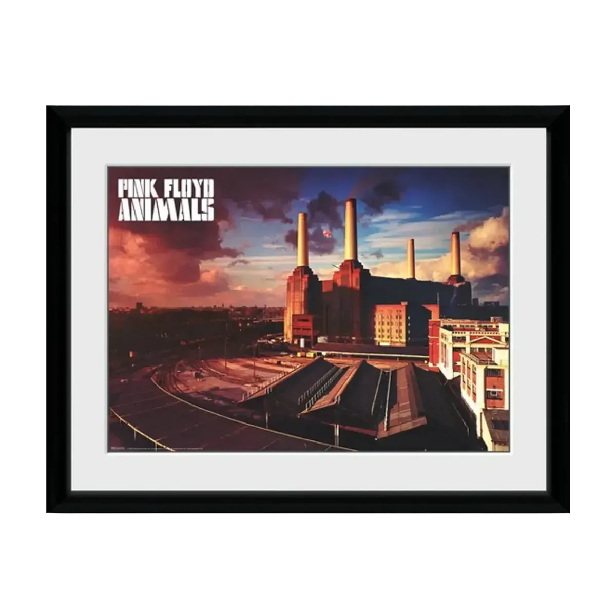 Animals 12" x 16" Framed Print