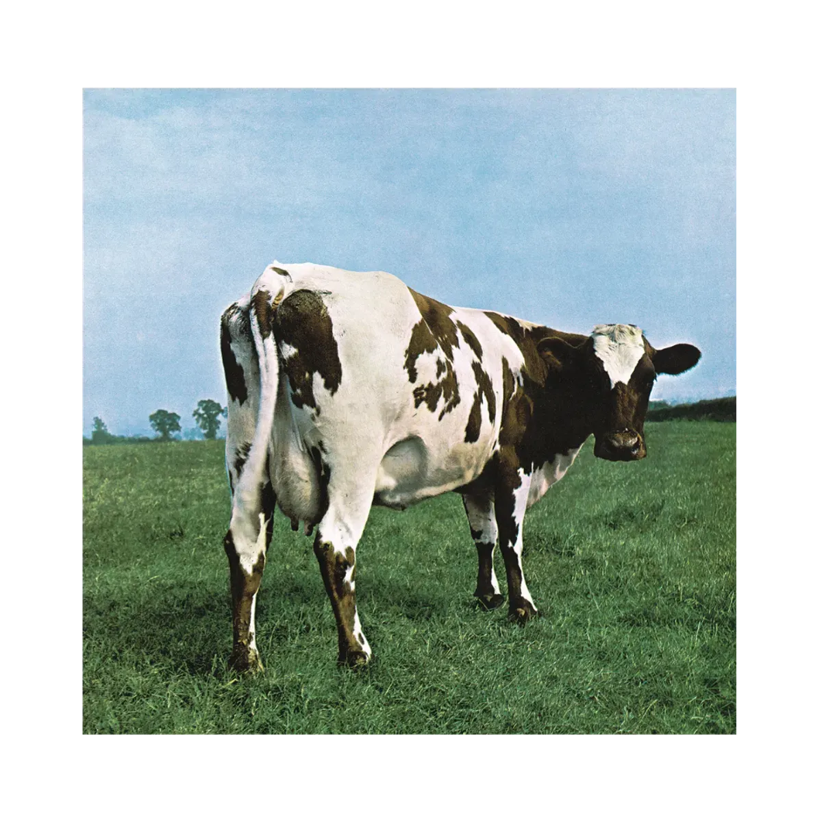 Atom Heart Mother LP – Pink Floyd Atom Heart Mother LP – Pink Floyd