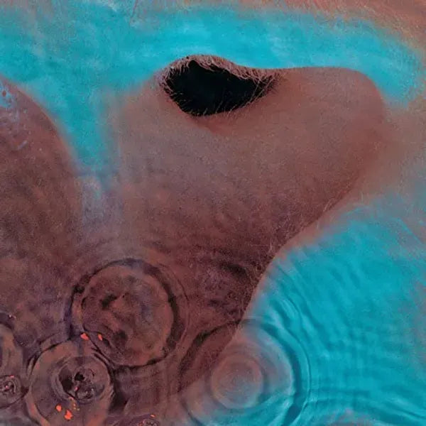Meddle LP