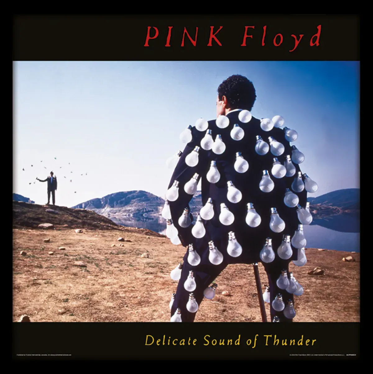 Pink Floyd Delicate Sound of Thunder Framed Print