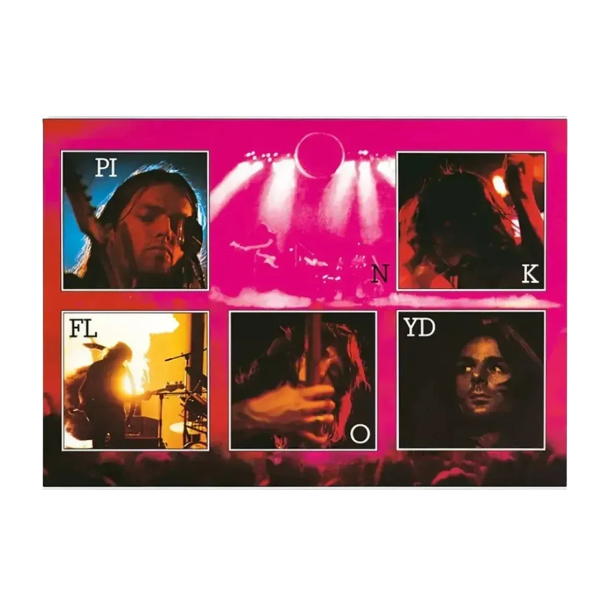 Pink Floyd Live Canvas Print 30x40cm