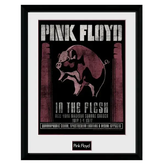 1977 12" x 16" Framed Print