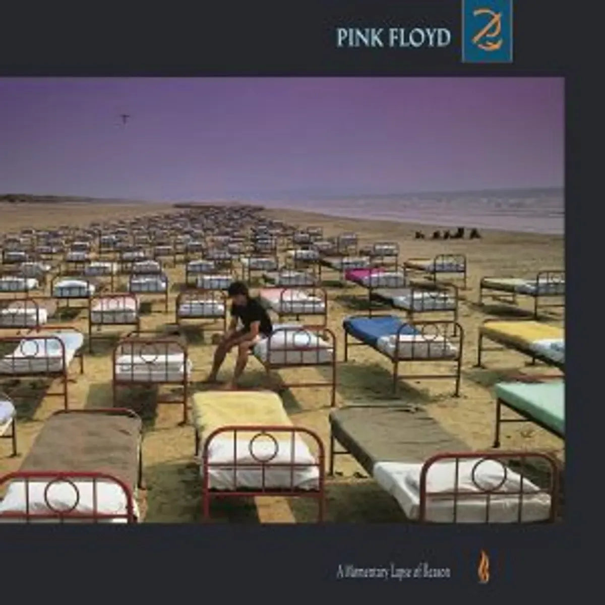 A Momentary Lapse Of Reason Vinyl