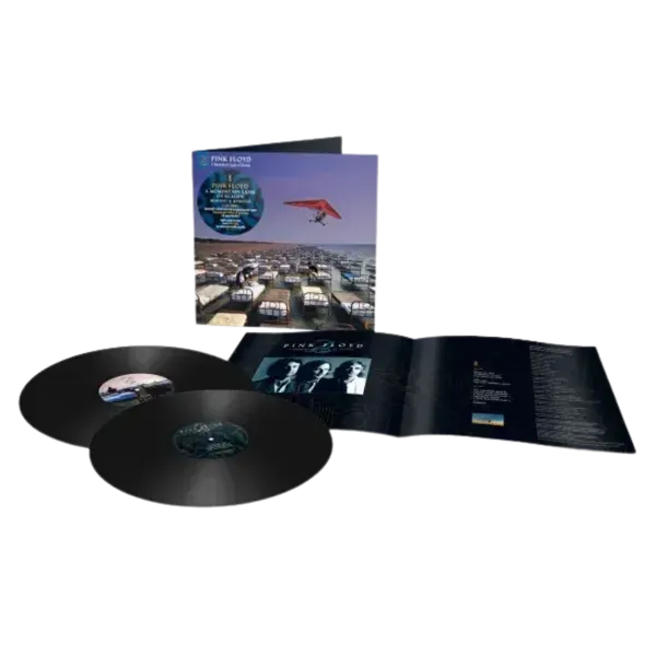 A Momentary Lapse of Reason LP