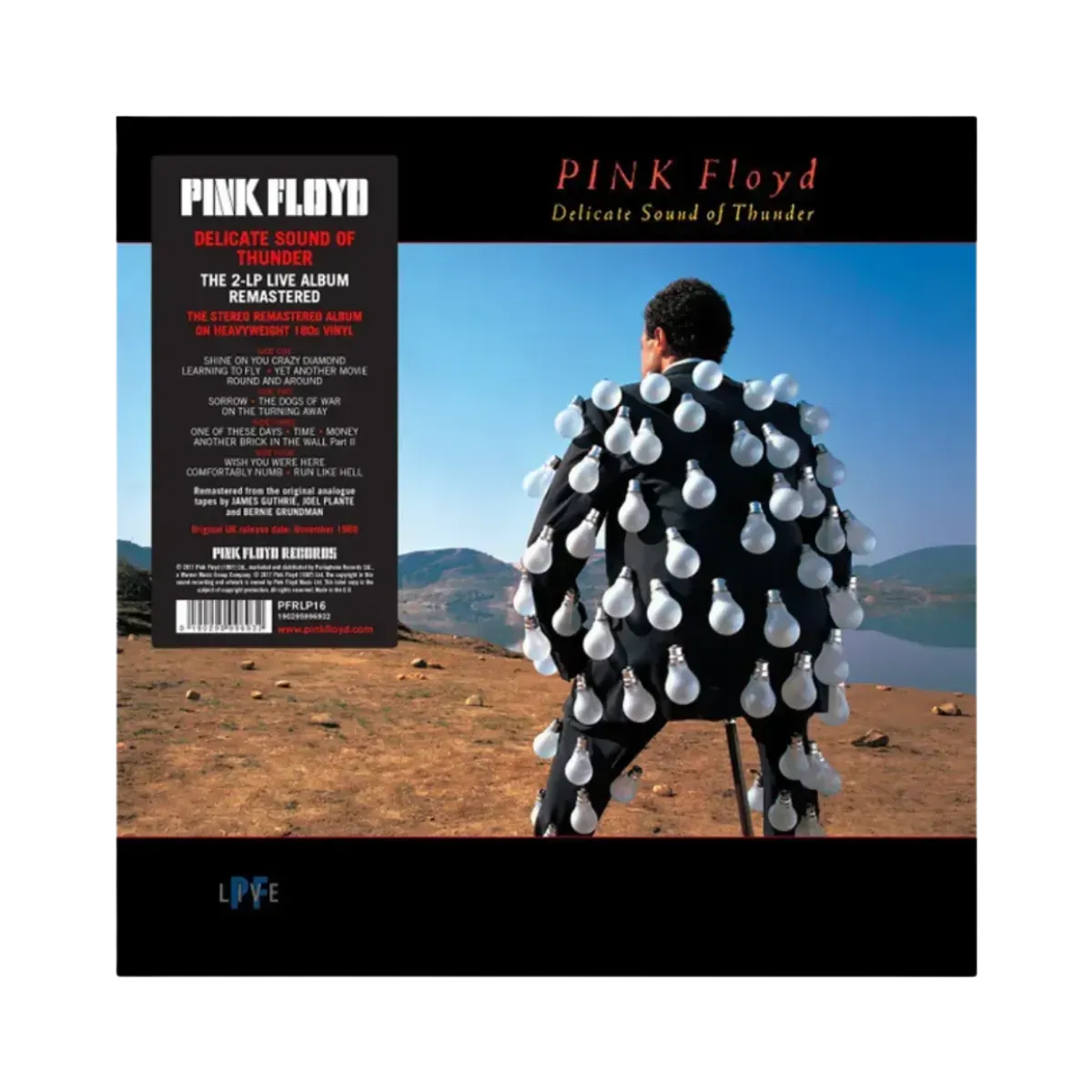 Delicate Sound Of Thunder Vinyl