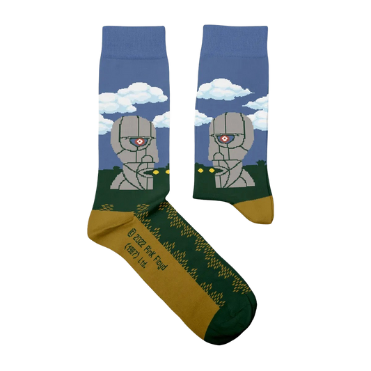 Division Bell Socks