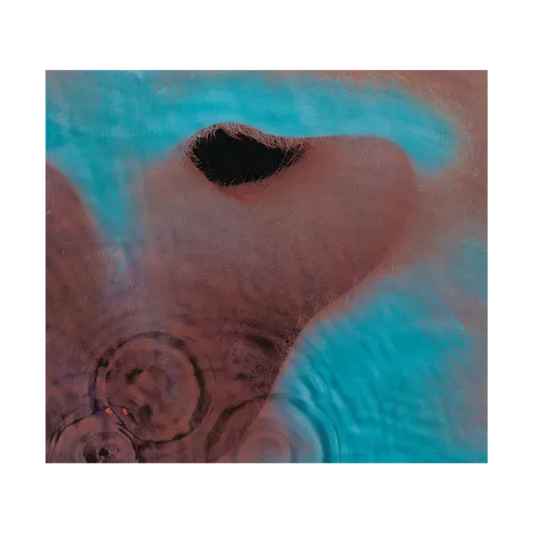 Meddle CD