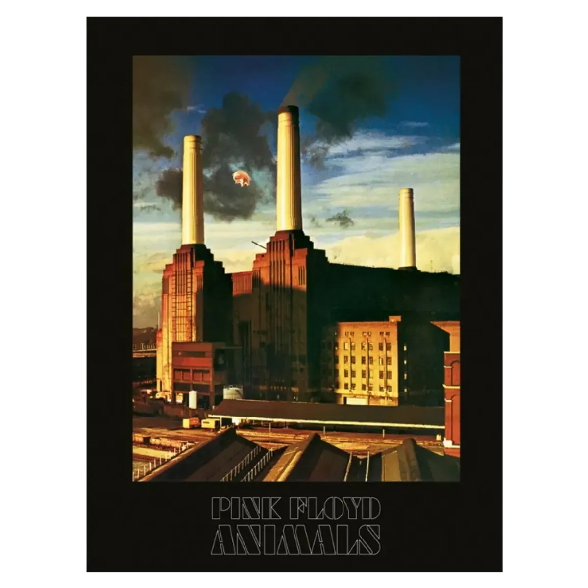 Pink Floyd Animals 60x80cm Canvas Print