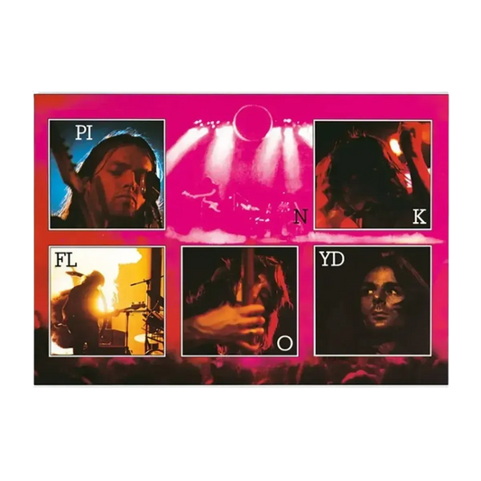 Pink Floyd Live 85 x 120 cm Canvas Print