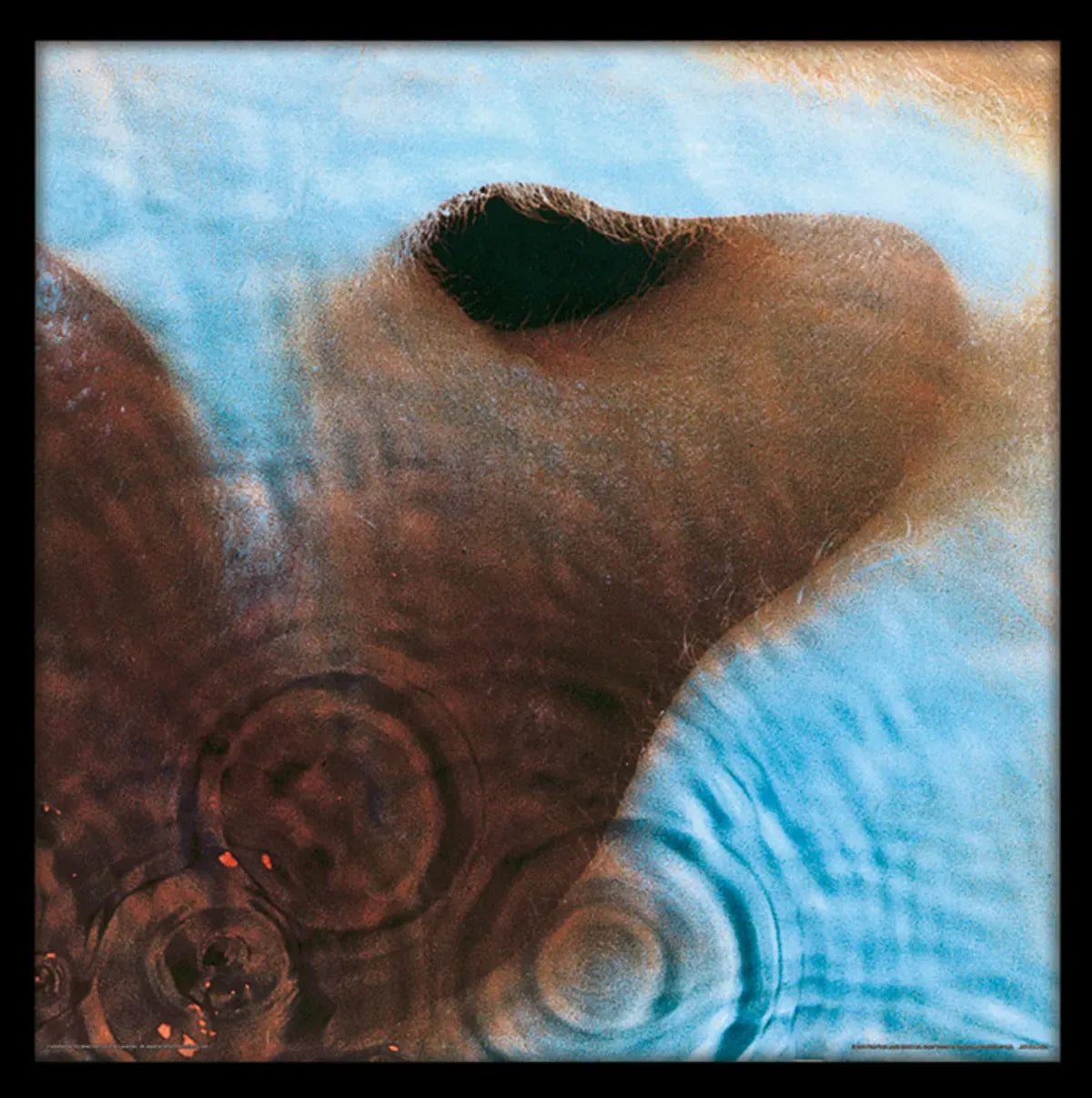 Pink Floyd Meddle 1971 Framed Print