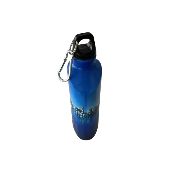 Pink Floyd Water Bottle