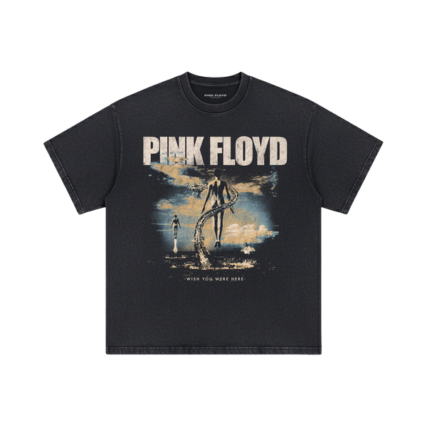 Pink Floyd WishYouWereHere ピンク・フロイド Tシャツ Wish You Were Here Vintage T-Shirt – Pink Floyd