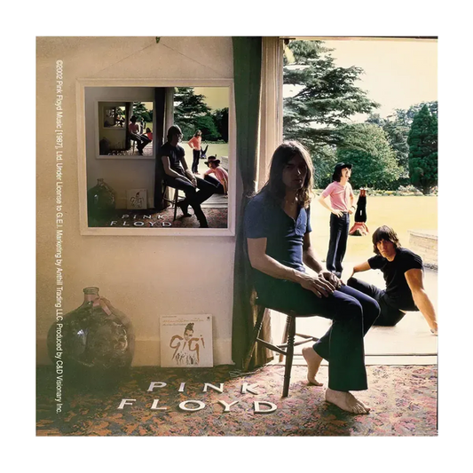 Ummagumma Sticker