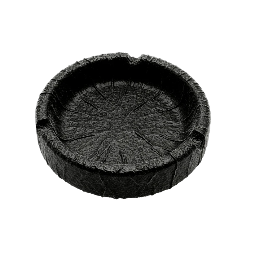 Limited Edition: WYWH 50 Ashtray