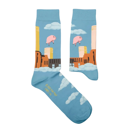 Animal Socks